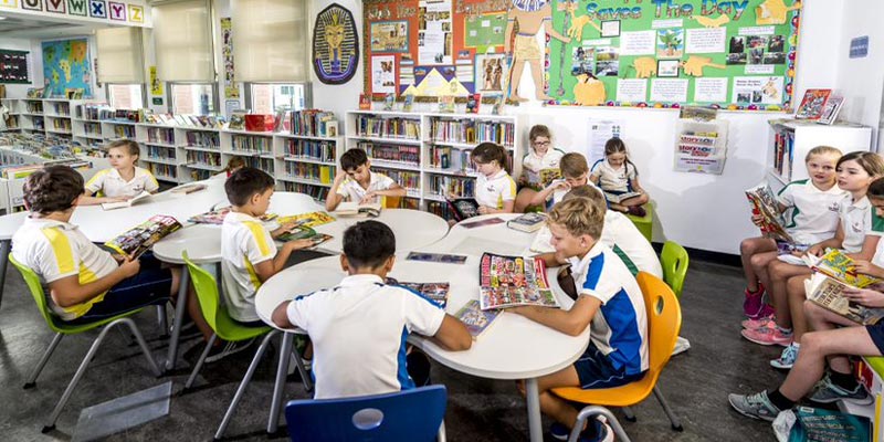 DBS Primary Library